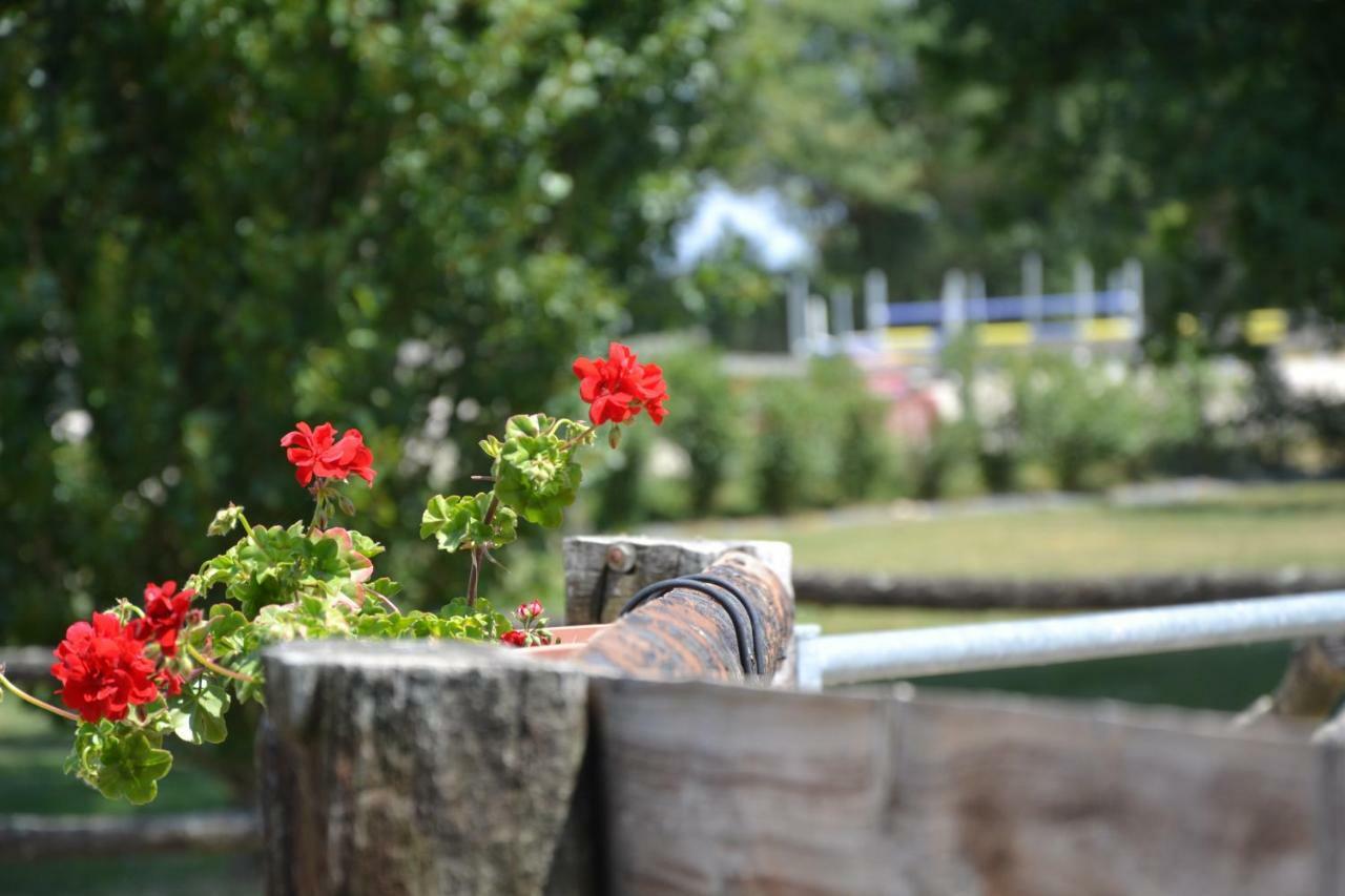 Gite Au Haras Les Aubiers Exterior photo